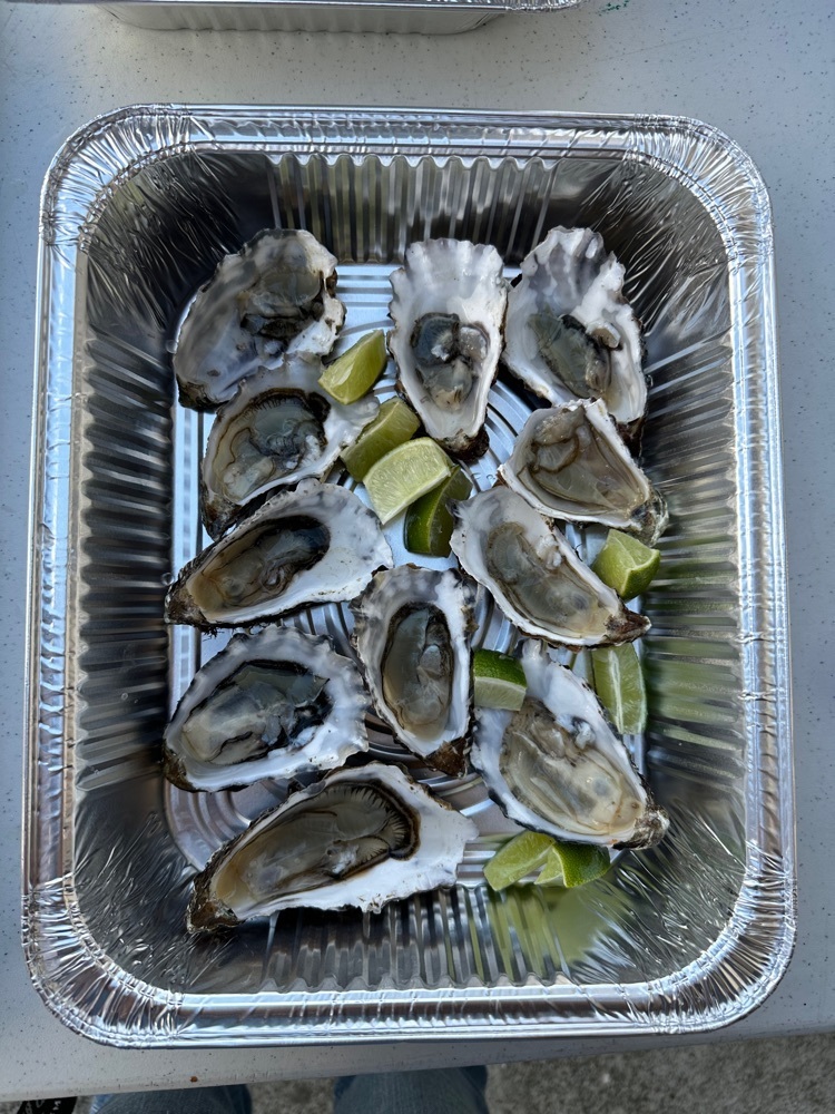 oysters from tomales bay oyster company 